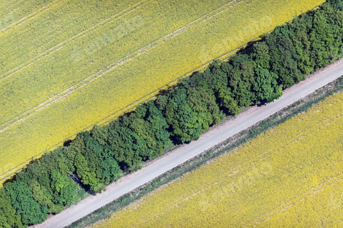 Preview: Aerial View Over The Rural Fields In Summertime