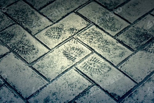 Preview: Footprint On Cement, Detail Of A Sho Eprint, Sign