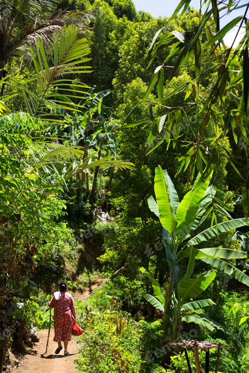 Preview: Woman Walking Along A Dense Jungle Path With Green Leafs Everywhere
