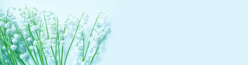 Preview: Blur. Spring Landscape. Flowers Lily Of The Valley