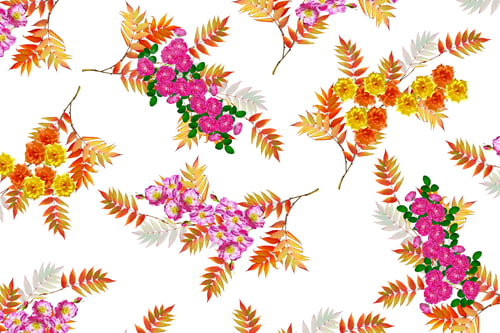 Preview: Flower Buds Of Roses Isolated On White Background. Rowan