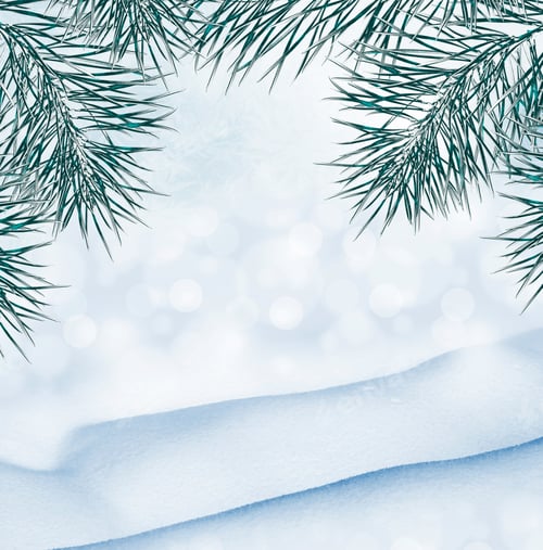 Visualização: Paisagem de inverno. Antecedentes.