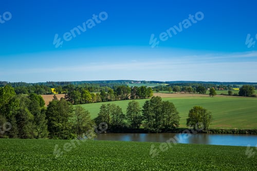 Preview: Green Field, River And Blue Sky