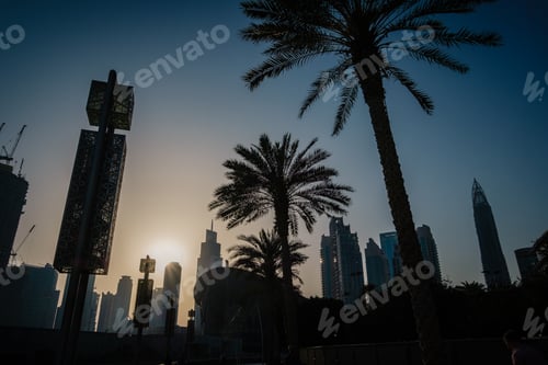 Preview: Palm Trees At Sunset Above Dubai Skyline. Vacation Concept.