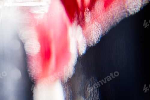 Preview: Abstract Underwater Composition With Blurry Orchid Petals, Bubbles And Light