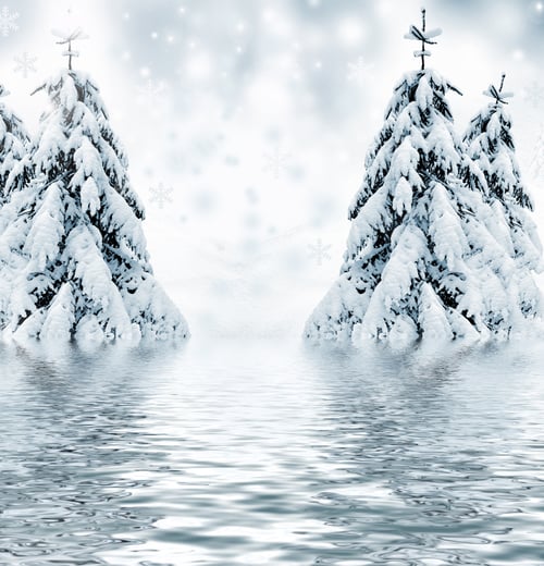 Preview: Christmas Card