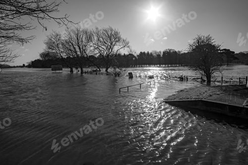 Preview: River With A High Water Level