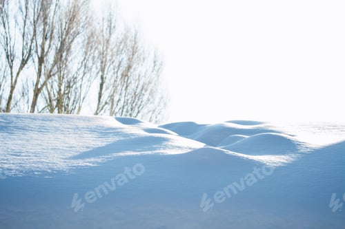 Preview: Blur. Frozen Winter Forest With Snow Covered Trees.