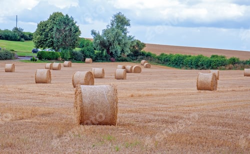 Preview: Straw Bales In The Worcestershire Countryside.