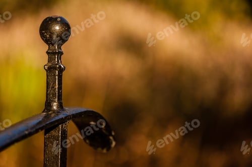 Preview: A Detail Of The Wrought Iron Fence
