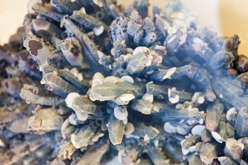 Preview: Beautiful Cristals, Minerals And Stones - Colors And Textures. Image Has Grain Texture Visible On