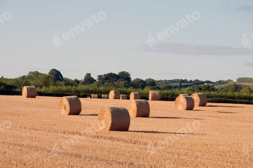 Preview: Bales Of Hay In The Summertime