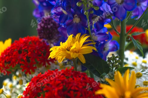 Preview: A Colorful Bouquet Of Bright Spring Flowers Of Various Types, Close-Up