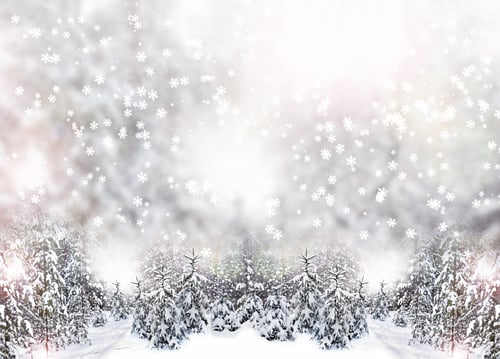 Visualização: Inverno. Queda de neve.