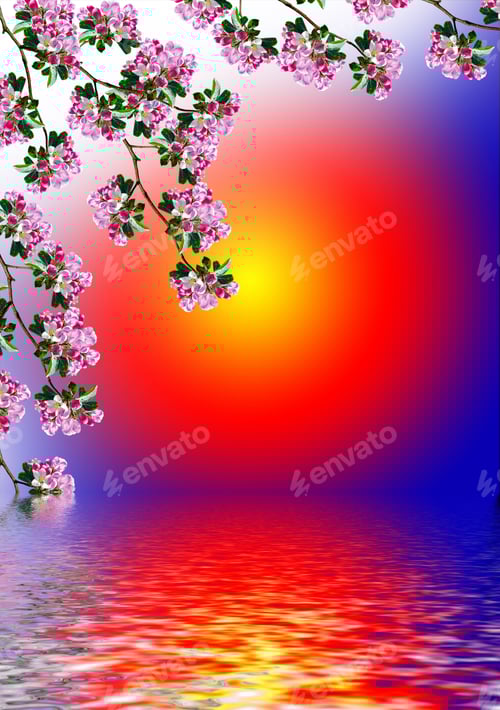 Preview: Spring Landscape. Orchard. Flowering Branch