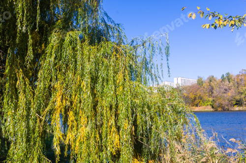 Preview: Autumn Urban Landscape On A Sunny Day - Yellow Autumn Trees In The Park, River, And Bright Sky With