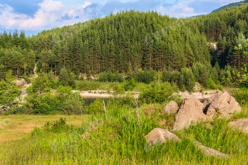 Preview: Krinets Lake Dam Summer Panorama In Bansko, Bulgaria With Green Pine Tree Woods On Background