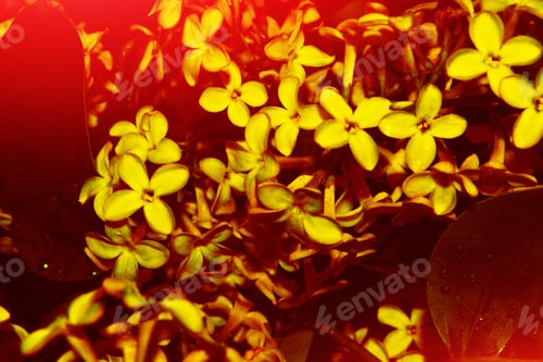Preview: Bright And Colorful Flowers Lilac On The Background Of Spring Landscape.