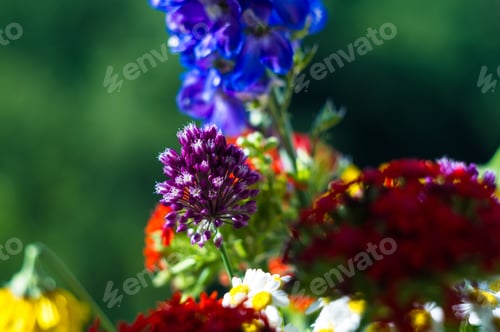 Preview: A Bouquet Of Bright Spring Flowers Of Various Types