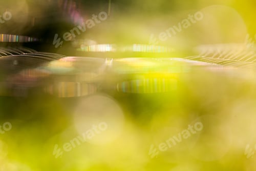 Preview: Abstract Composition With Spider Web Details And Natural Colors