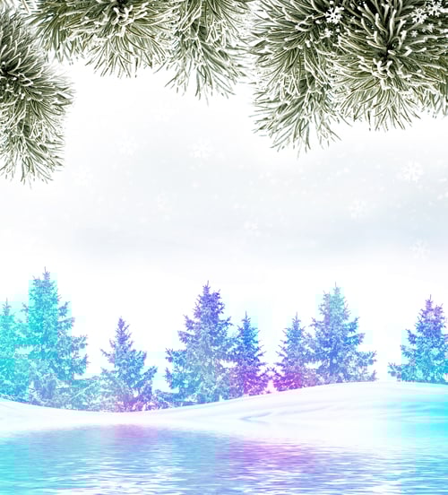 Preview: Winter. Snow Covered Trees. Festive Frame With Fir Branches.