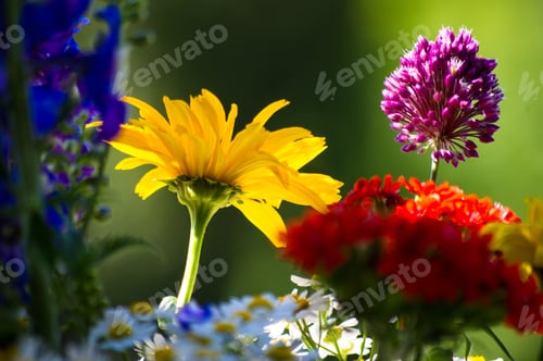 Preview: A Bouquet Of Bright Spring Flowers Of Various Types