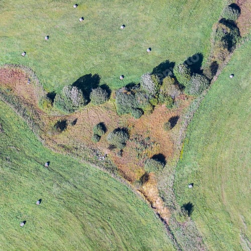 Preview: Aerial View Over The Rural Fields In Summertime