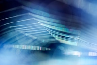 Preview: Abstract Composition With Spider Web Details And Natural Colors