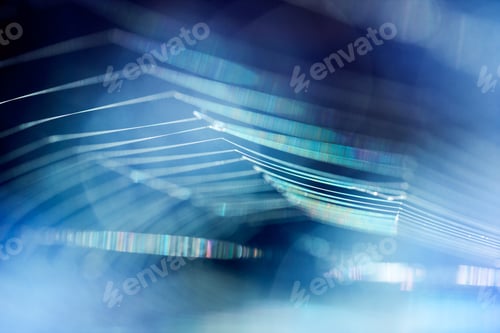 Preview: Abstract Composition With Spider Web Details And Natural Colors