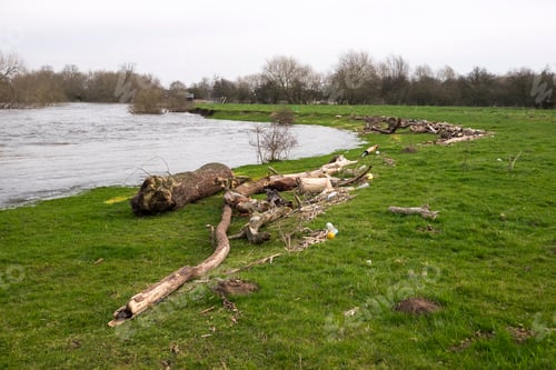 Preview: Flood Debris Left Behind At The High Water Mark