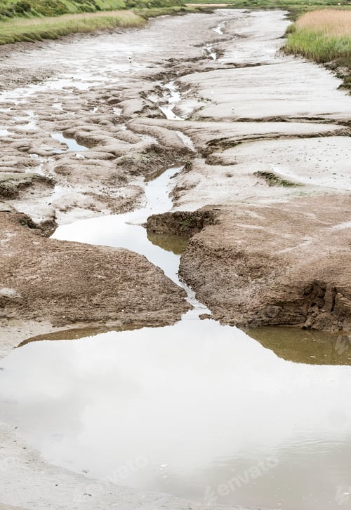 Preview: Coastal Mud Flats At Low Tide