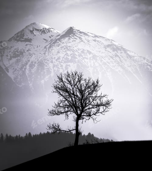 Preview: Trees And Mountains
