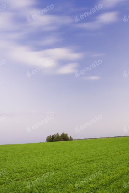 Preview: Field With Group Of Trees On Long Exposure Landscape