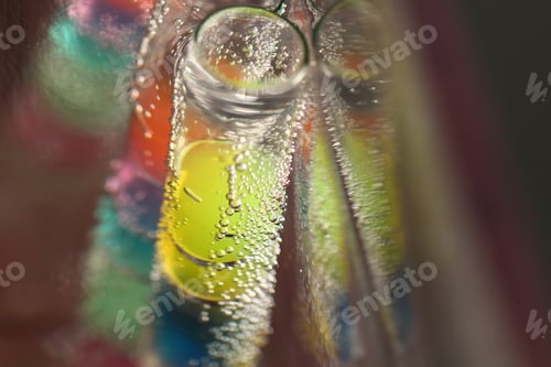 Preview: Abstract Composition With Underwater Tubes With Colorful Jelly Balls Inside And Bubbles