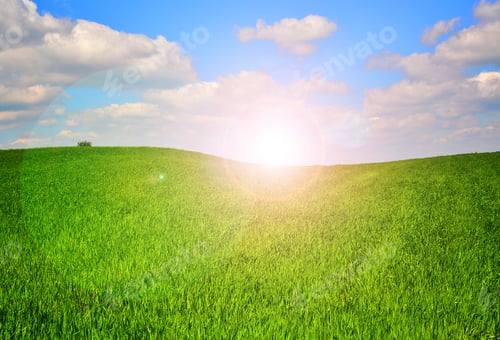 Preview: Green Meadow With Blue Sky Background