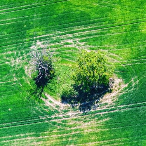 Preview: Aerial View Over The Rural Fields