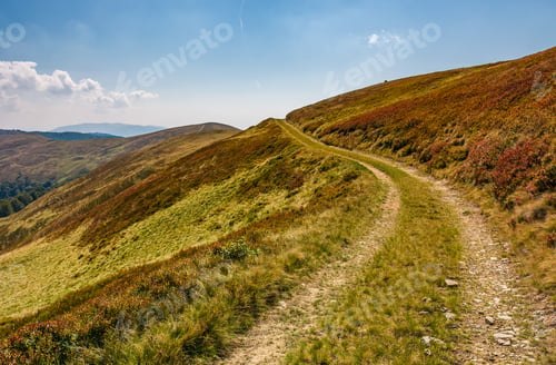 Preview: Footpath Through Hills With Forest. Beautiful Nature Scenery In Fine Early Autumn Weather