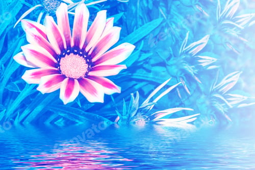 Preview: Colorful Chrysanthemum Flowers On A Background Of The Autumn Landscape. Nature
