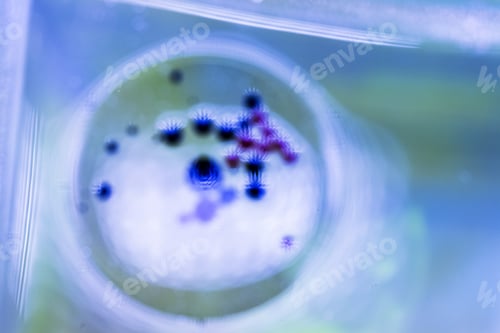 Preview: Abstract, Blurred, Colorful Composition With Oil, Water And Ink