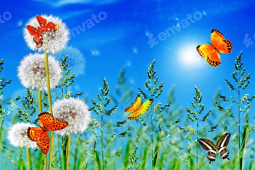 Preview: Green Grass On Blue Sky Background. Dandelion. Butterfly