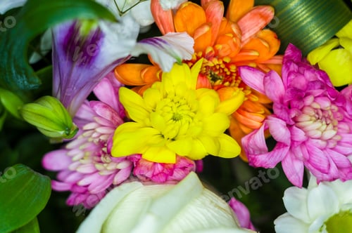 Preview: Beautiful Gift Bouquet Of Various Colorful Decorative Summer Flowers