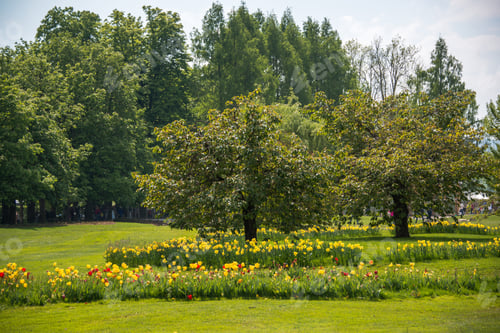 Preview: Flowers And Plants In The Gardens Of Arboretum Volcji Potok