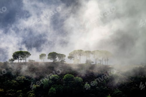 Preview: The Landscape Around The Village Of Ronda In Andalusia, Spain.