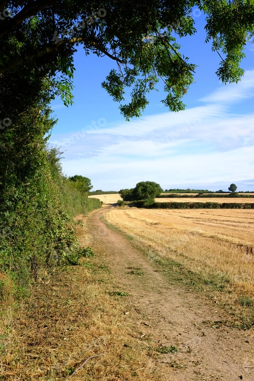 Preview: Countryside Dirt Track During The Uk Summer Heatwave 2019