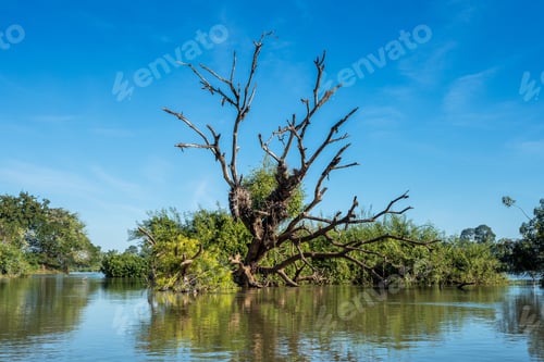 Preview: Four thousand Islands Over The Mekong River Between Don Det And Don Khone Near Cambodian Border In Laos
