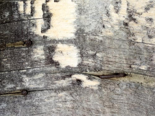 Preview: Texture Of Old Shabby Rustic Wooden Fence Made Of Planks, With Rusty Nails, Grunge Background