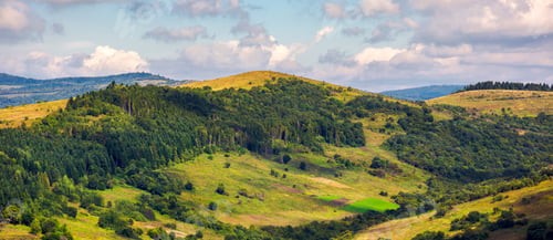 Preview: Panorama Of Forested Hills On A Cloudy Day. Lovely Scenery Of Carpathian Countryside In Early Autumn