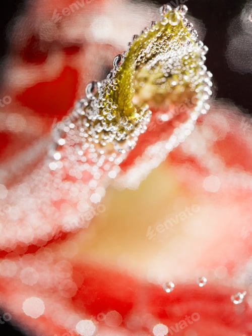 Preview: Abstract Underwater Composition With Orchid Petals, Bubbles And Light