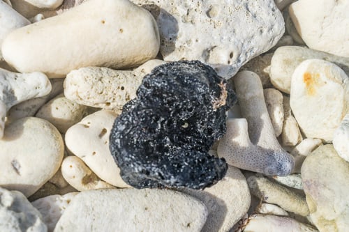 Preview: Oil Spill Clean Up Klein Curacao Island Views Around The Small Caribbean Island Of Curacao