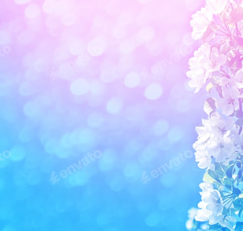 Preview: Blossoming Branch Apple. Bright Colorful Spring Flowers